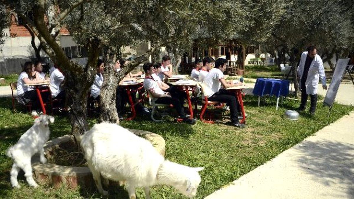 Hababam Sınıfı Gerçek Oldu