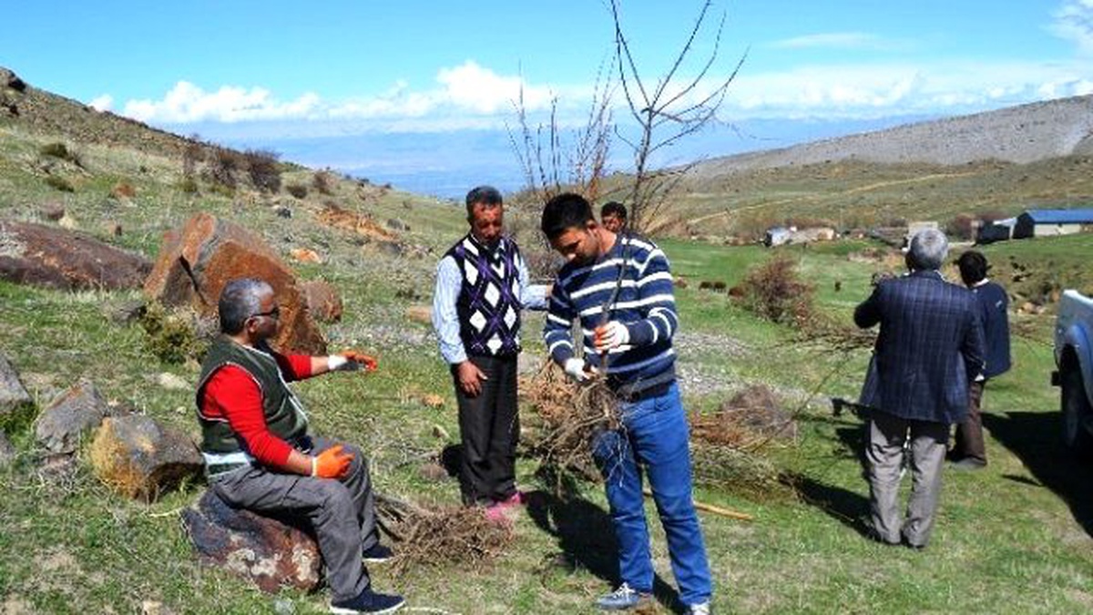 Iğdır\'da Yaban Hayata Meyve Fidanı Dikildi