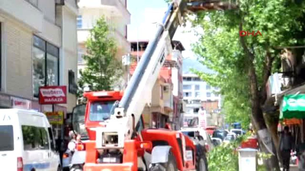 İslahiye?de Ağaçlar Budanıyor