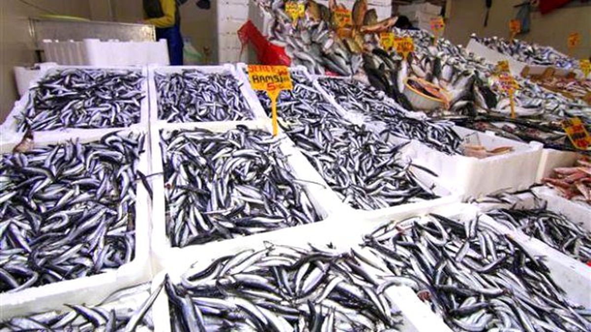 Balık Avı Bitti Sıra Ağ Onarımında