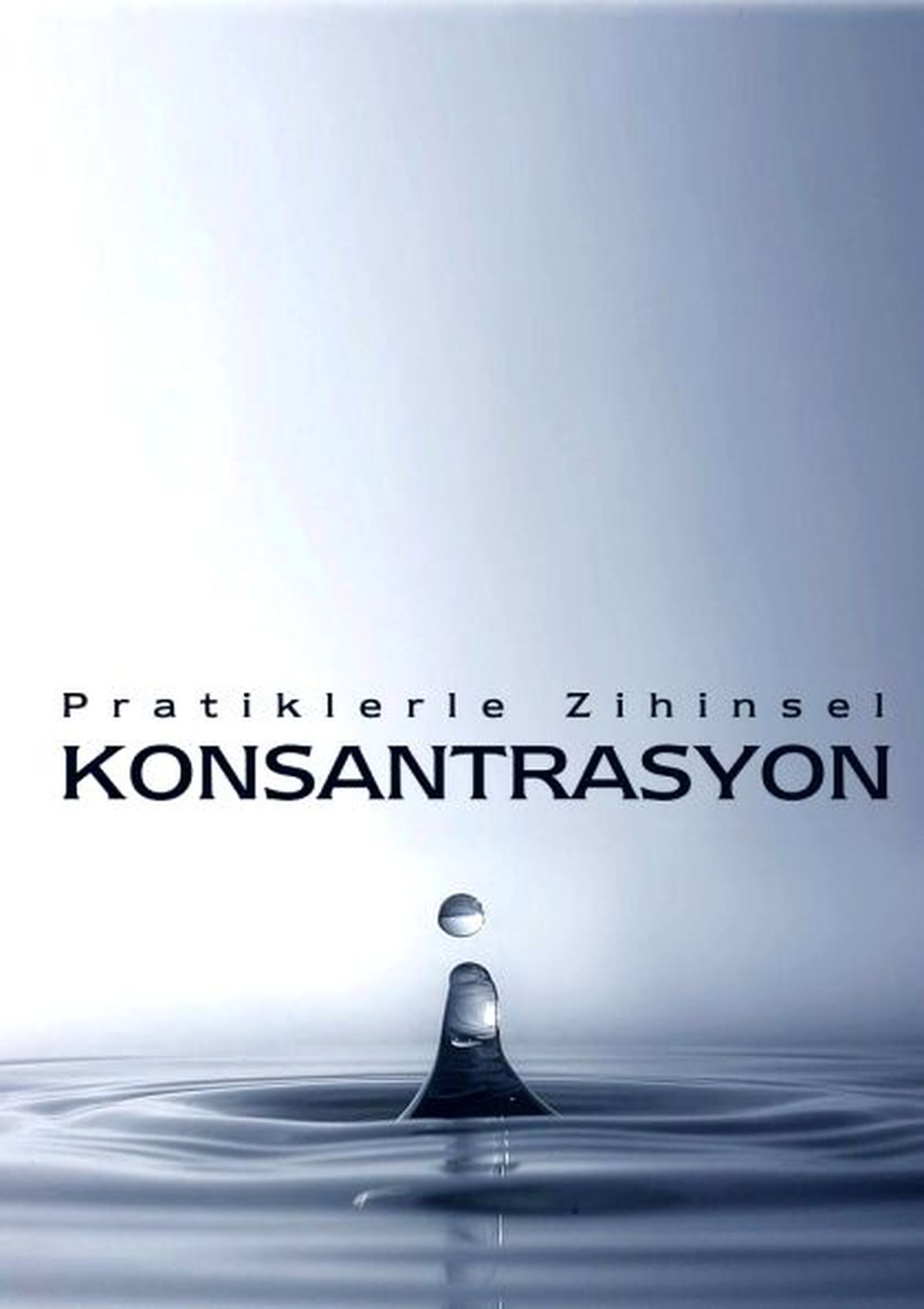 Konsantrasyon Atölyesi