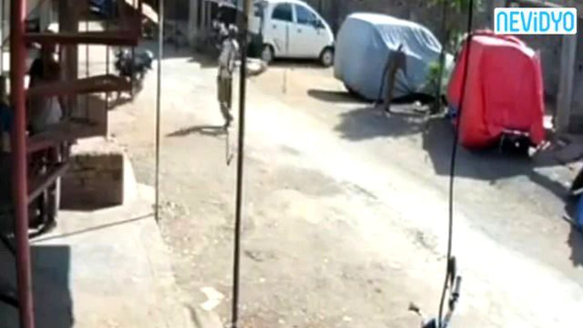 Maymundan İnanılmaz Saldırı!