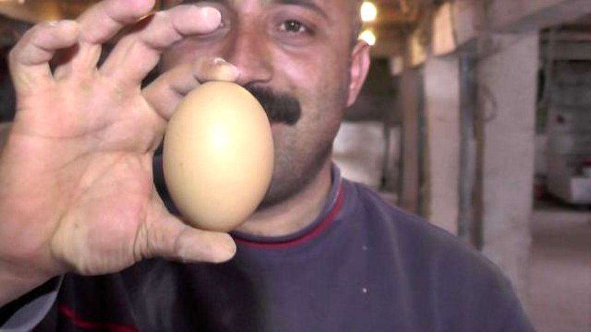 4 Sarılı Yumurtalar Şaşırtıyor