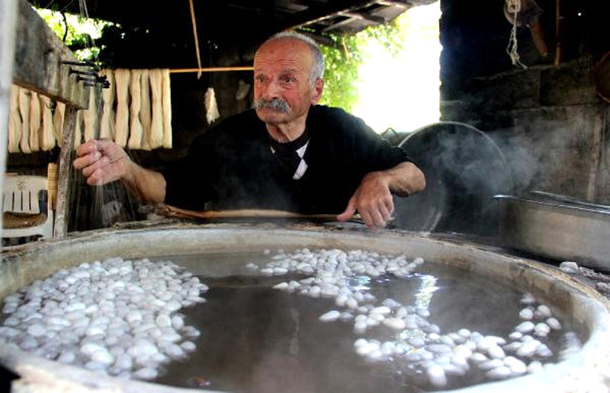 6 Kuşaktır İpekböcekçiliği Yapıyorlar