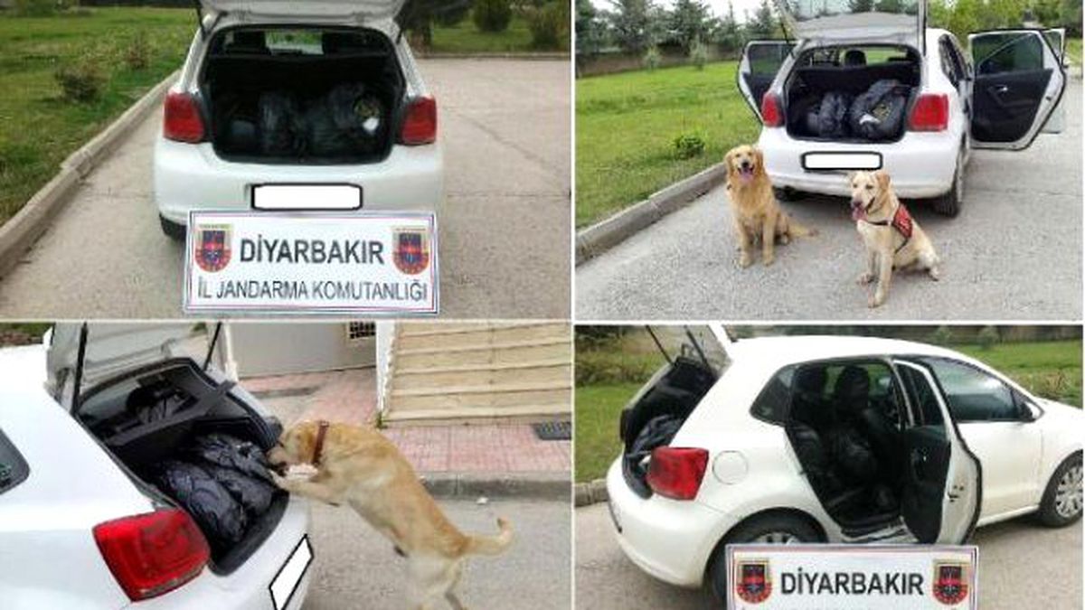 Diyarbakır\'da 65 Kilo Esrar Ele Geçirildi