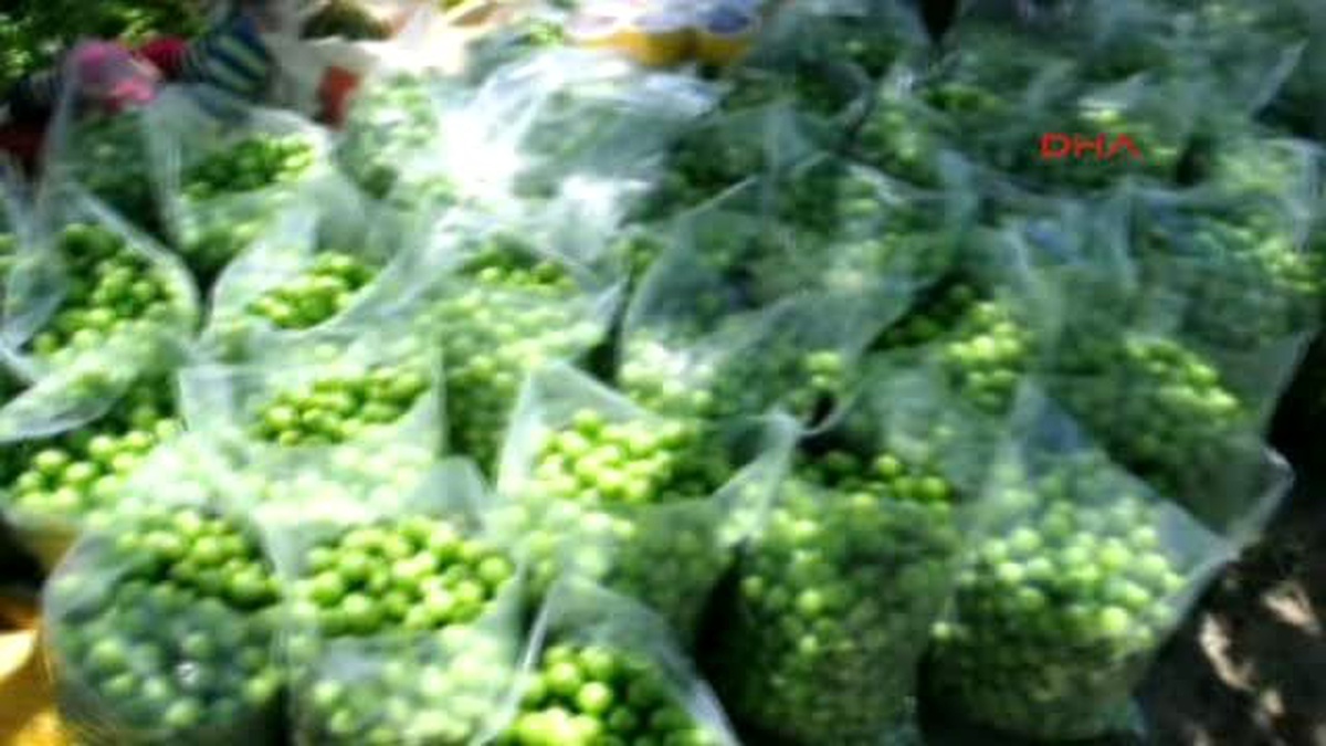 İncirliovalı Çiftçi Papaz Erikten Memnun