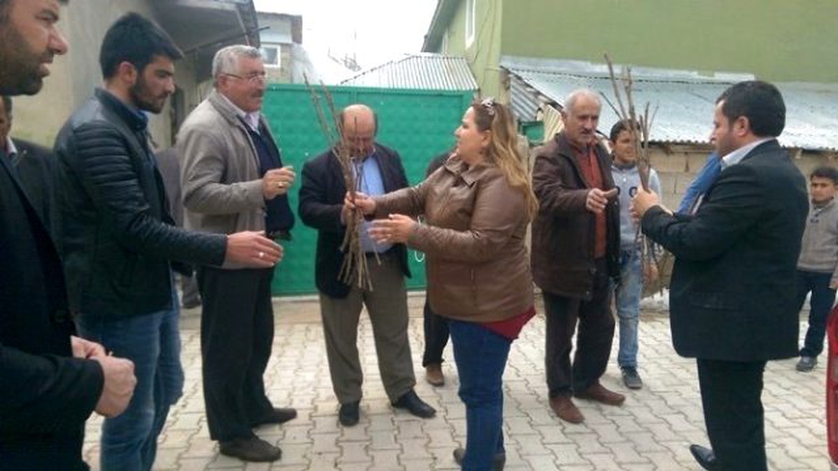 İpekyolu Belediyesi\'nden 750 Aileye Üzüm Fidesi