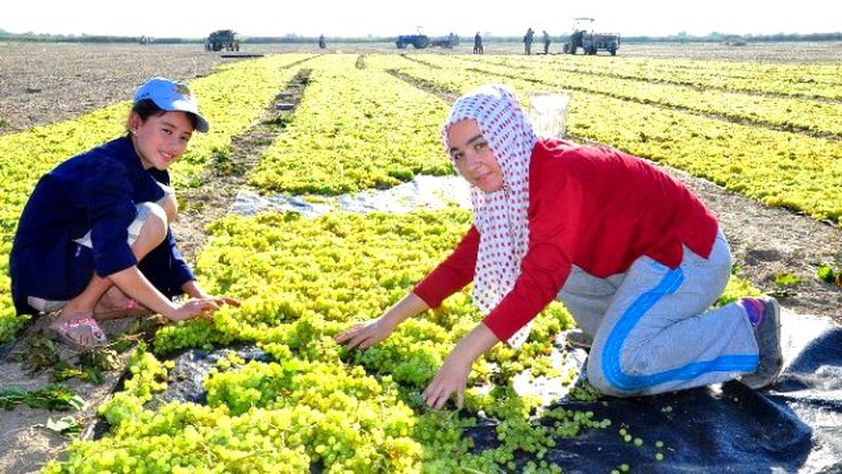 Komşularla Yaşanan Krizler İhracatı Olumsuz Etkiledi