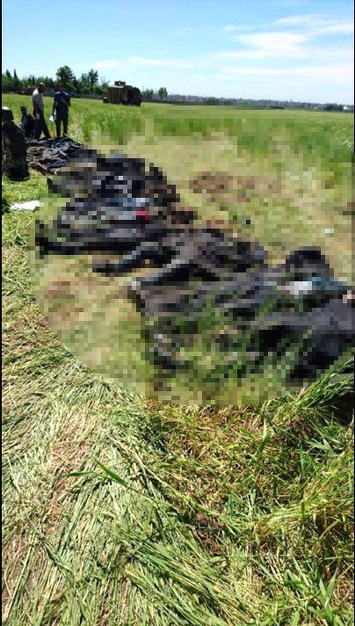 Nusaybin'den Kamışlı'ya Geçmeye Çalışan 18 PKK'lı Öldürüldü