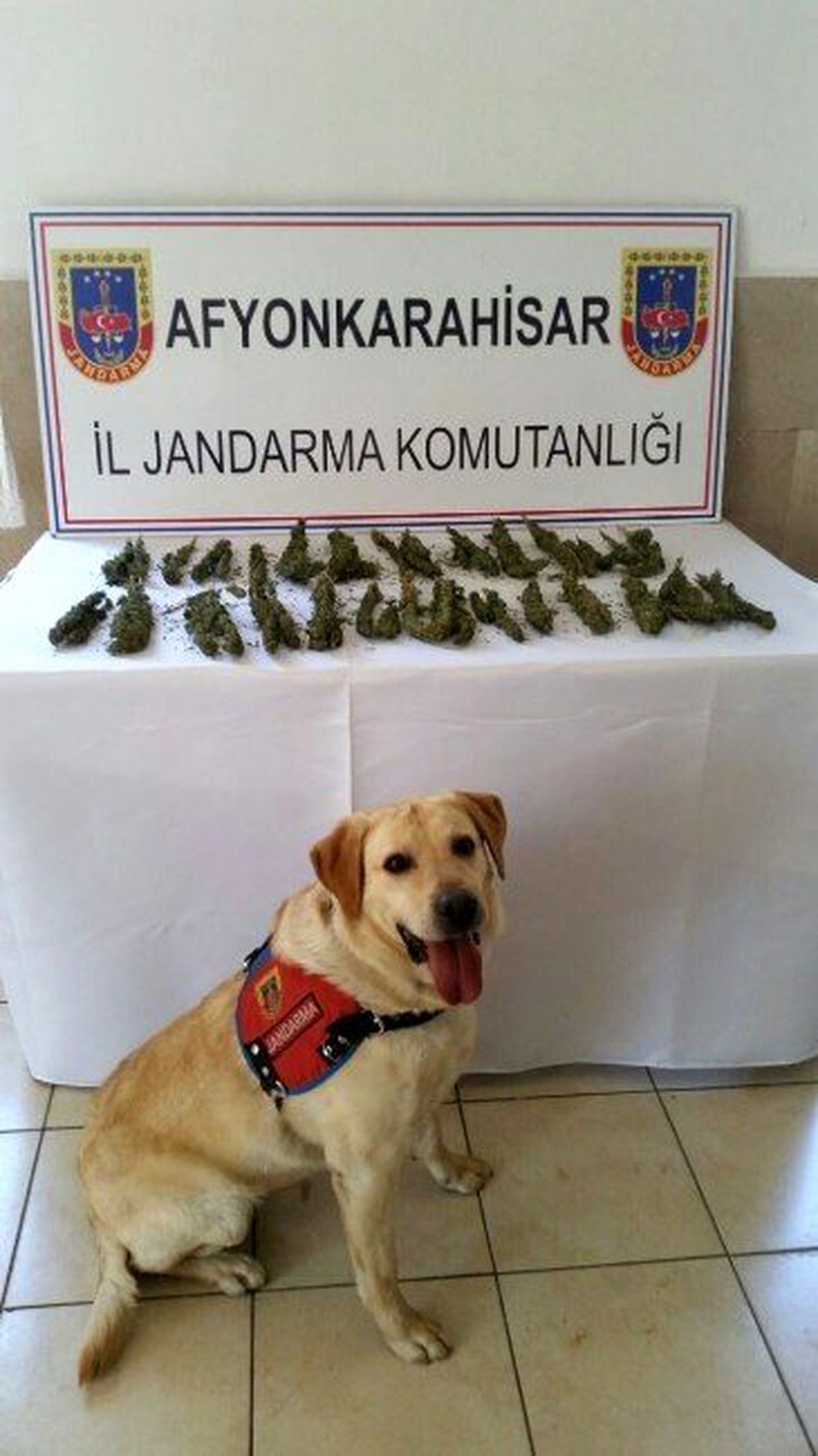 Yolcu Otobüsünde Uyuşturucu Madde Ele Geçirildi