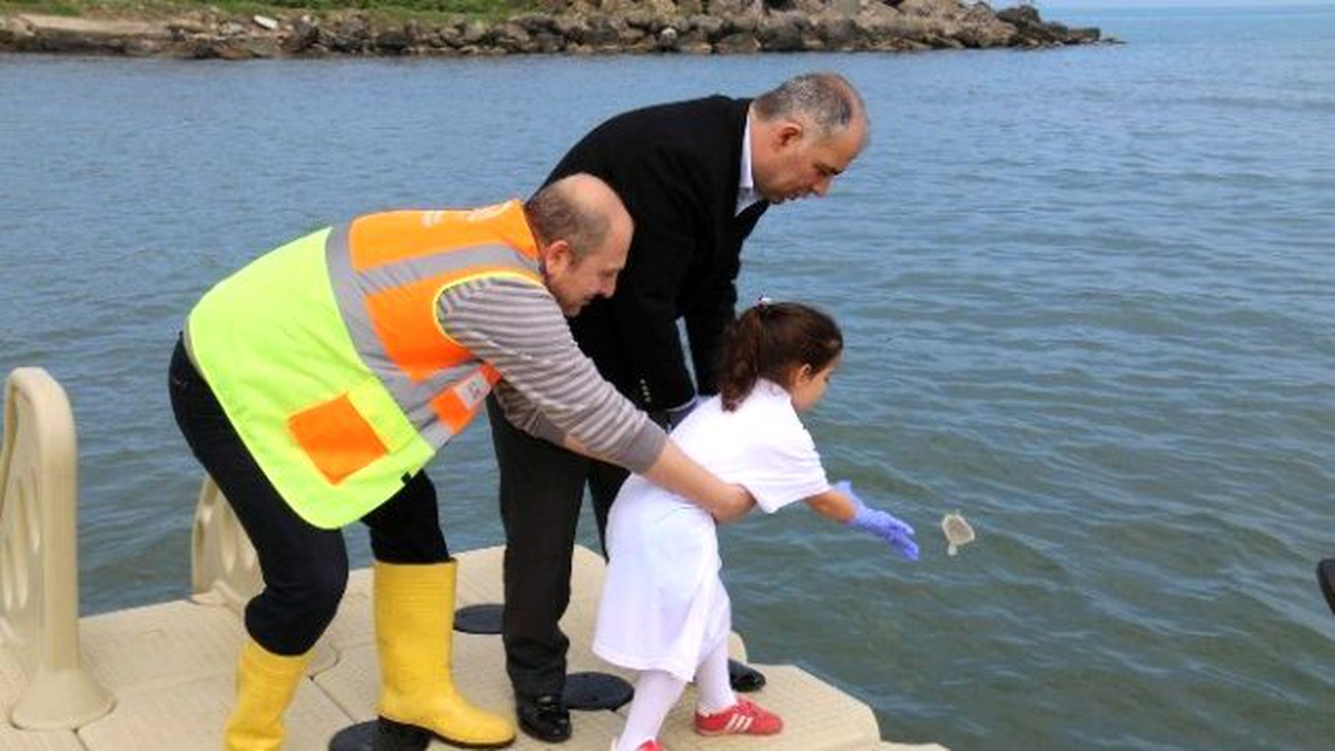 18 Yılda Yaklaşık 50 Bin Yavru Kalkan Denizle Buluştu