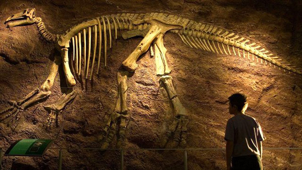 Dinozorların Nesli Çok Daha Önce Tükenmeye Başlamış