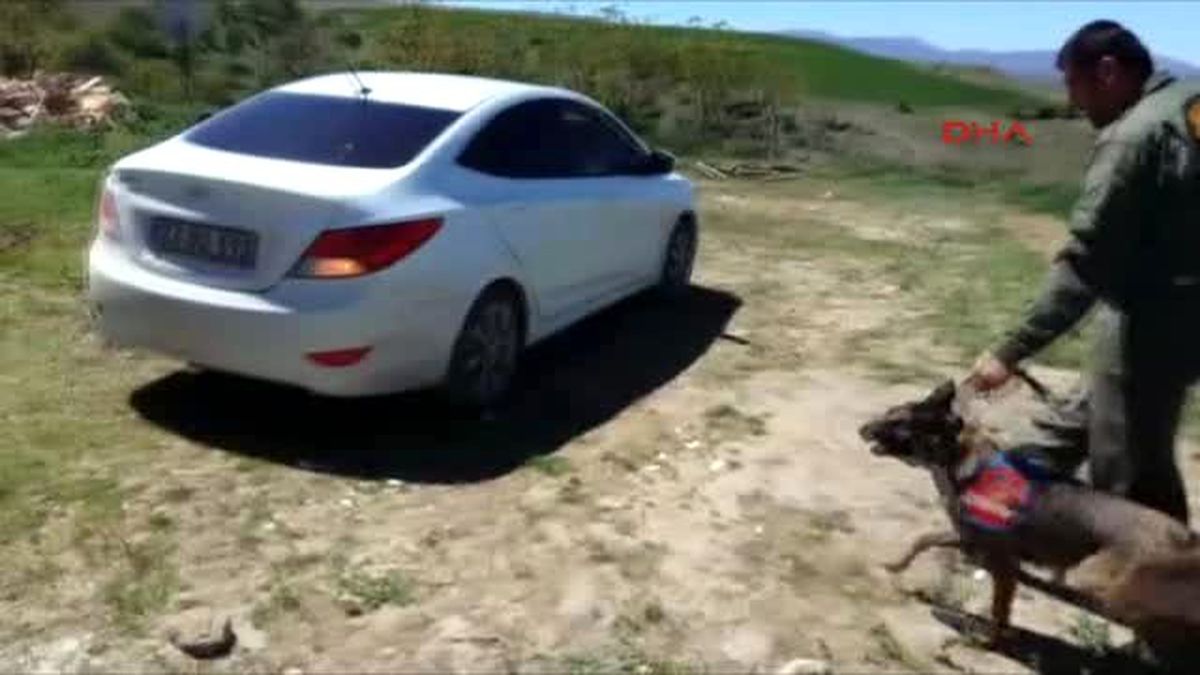 Elazığ Jandarmadan Kaçmaya Çalışan Araçta 50 Kilo Esrar Ele Geçti