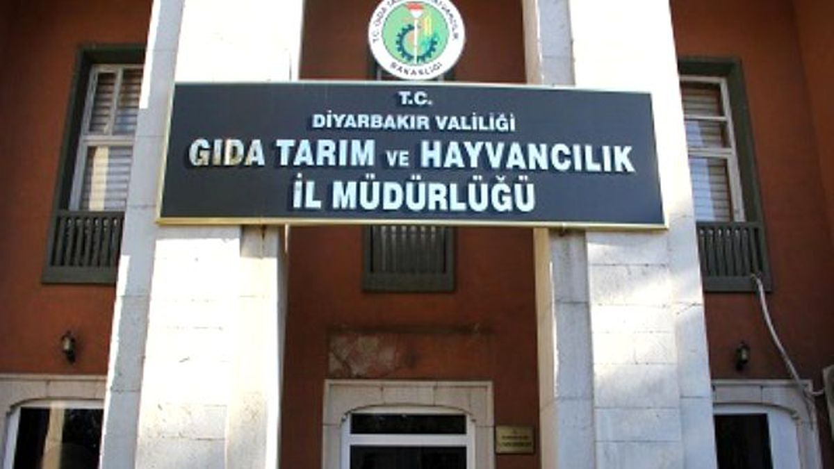 Menfaatin Olduğu Yerde Mantar Gibi Bitiyorlar