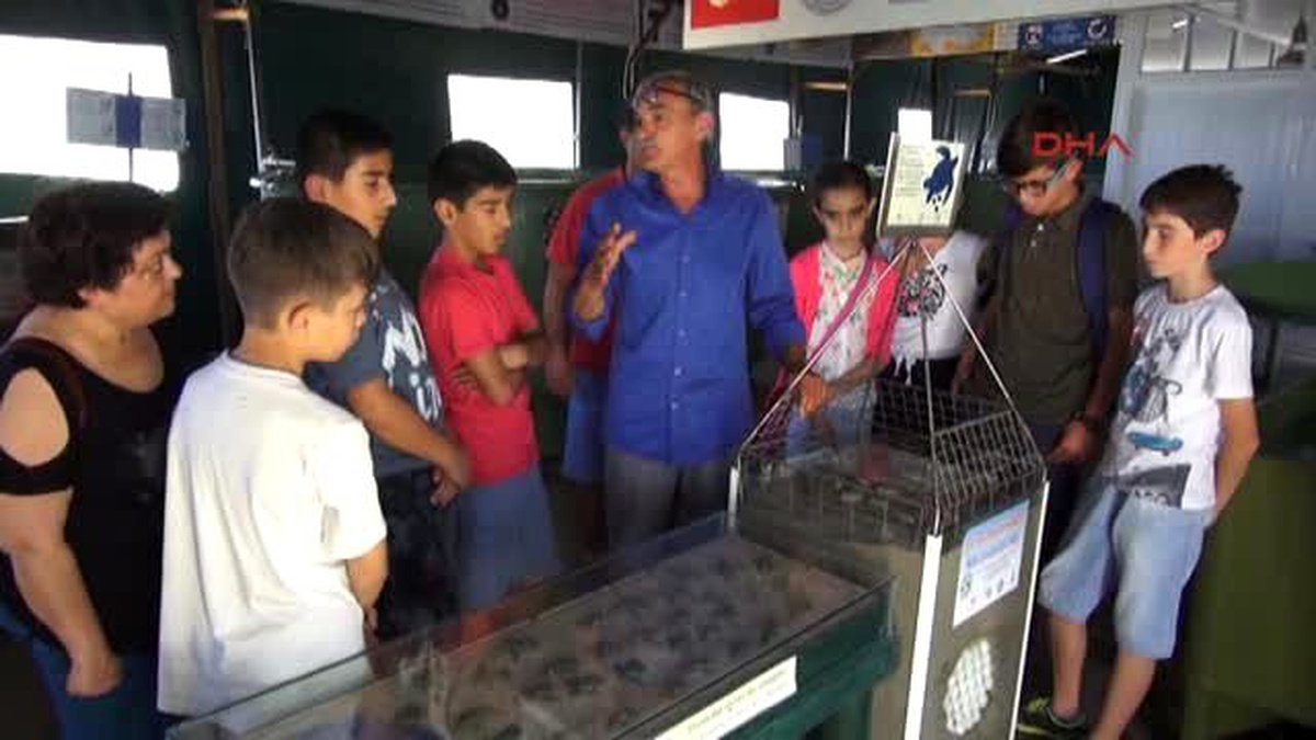 Ortaca Öğrenciler Caretta Carettaları Tanıdı