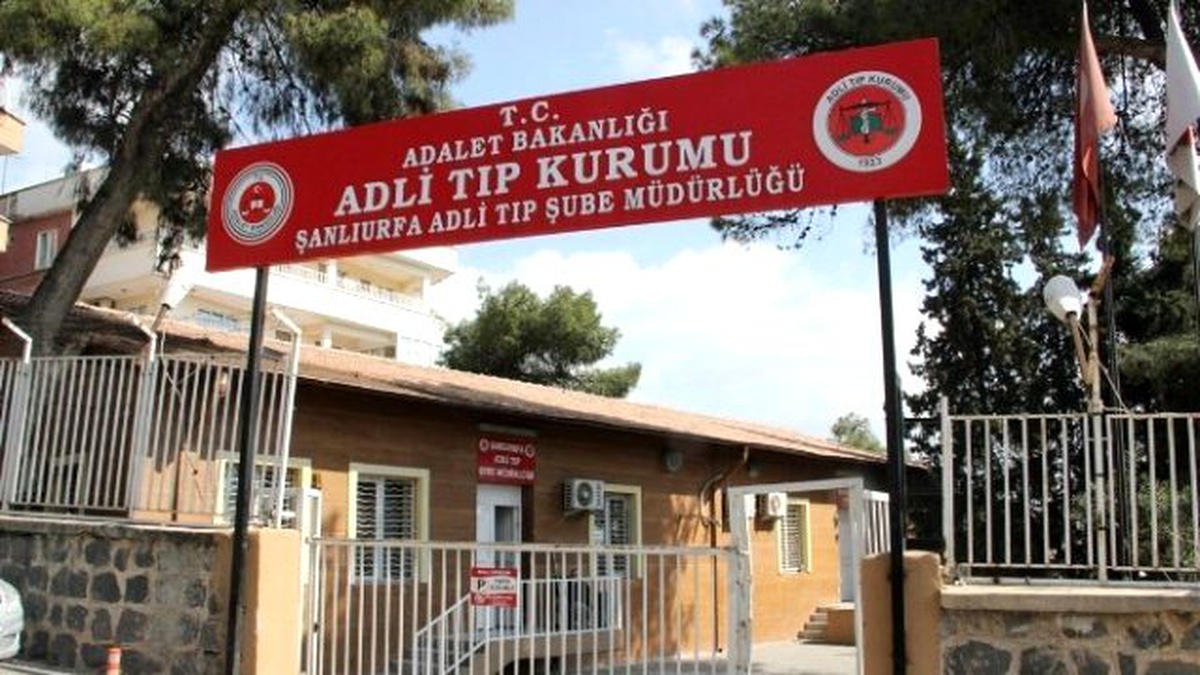 Suriye Sınırında Etkisiz Hale Getirilen 10 PKK\'lı Şanlıurfa\'ya Getirildi