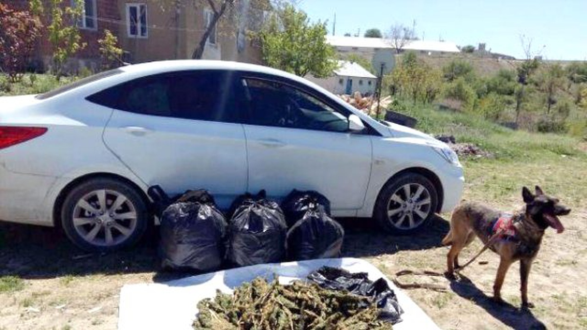 Sürücüsü \'Dur\' İhtarına Uymayan Otomobilden 50 Kilo Esrar Çıktı