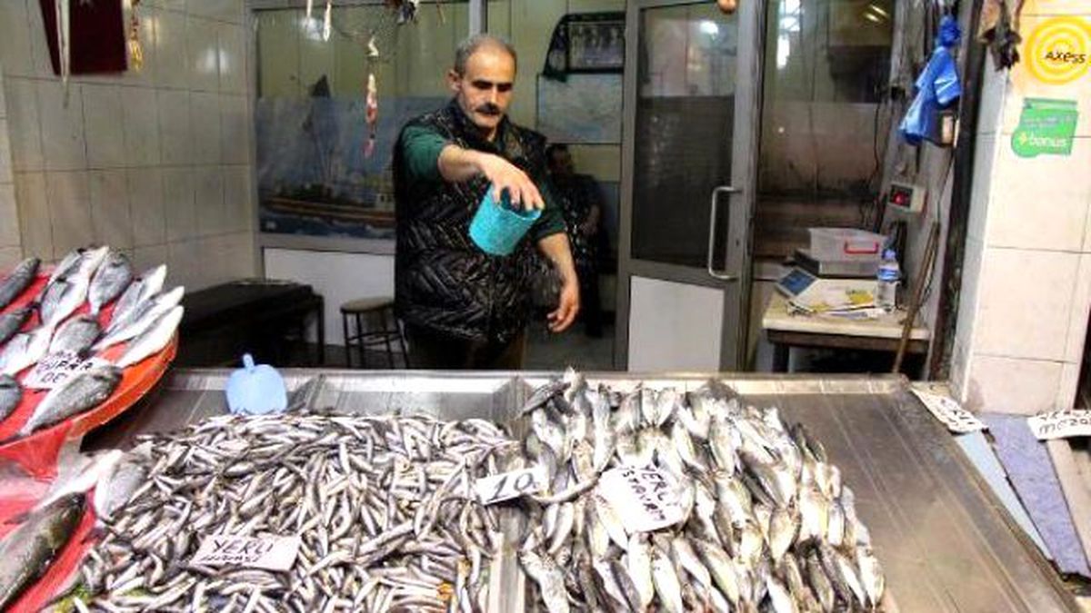 Zonguldak\'ta Balık Satışları Düştü