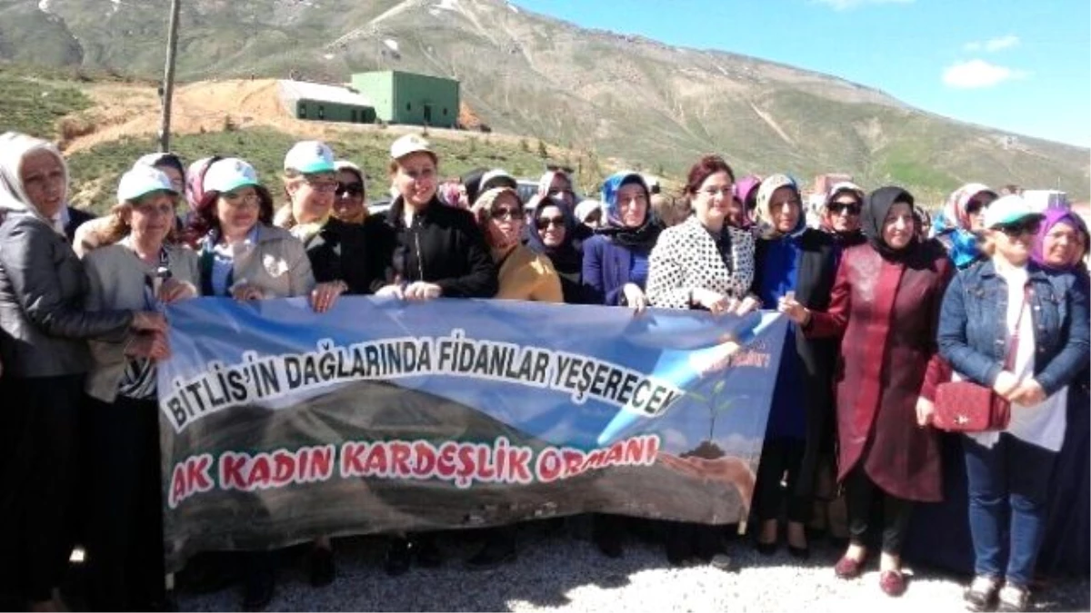 AK Parti Bartın Kadın Kolları Bitlis\'te
