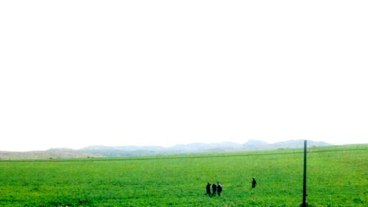 Diyarbakır-Kocaköy Yolunda Mayın Taraması Sırasında Patlama: 1 Asker Yaralandı