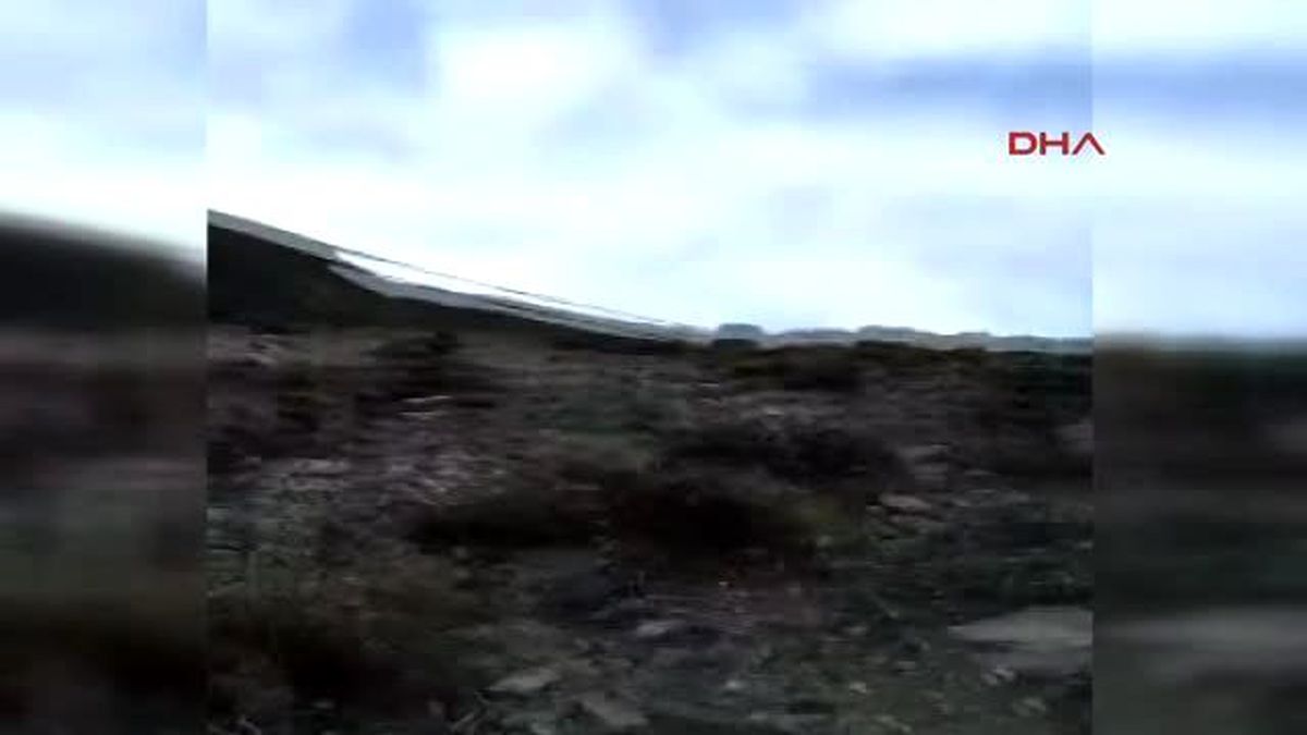 Kars Ayı Yavrularını Çobanlar Kurtardı