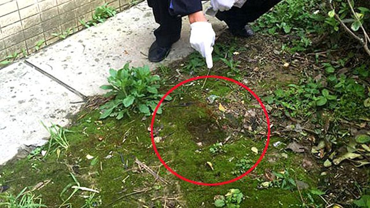 Küçük Çocuk 15. Kattan Düştü, Ölmedi