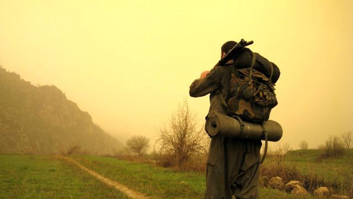 Nusaybin'de Yakalanan Terörist PKK'nın Amacını Anlattı