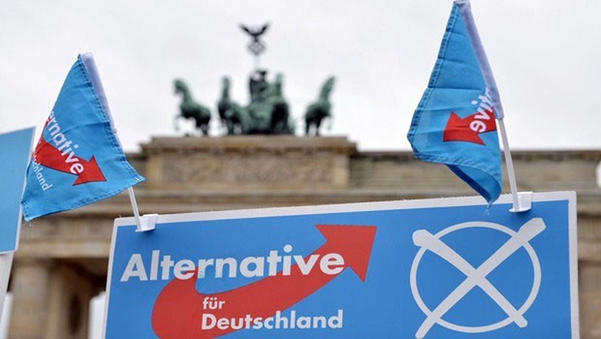Afd Her Şeye Karşı