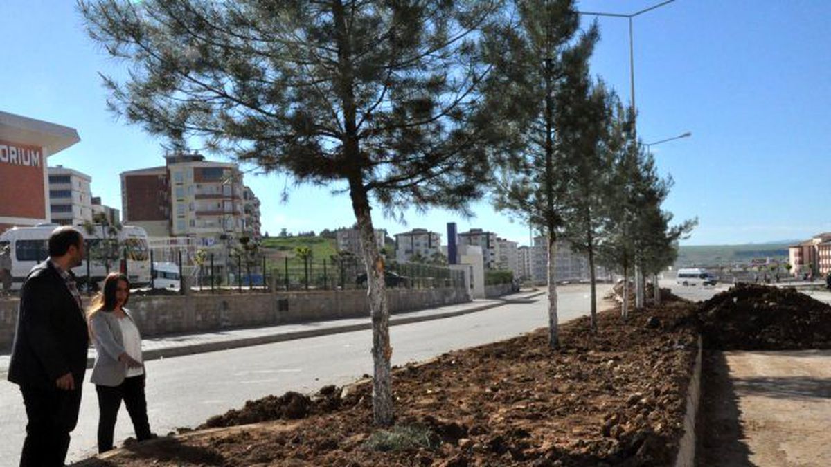 Başkan Vekili Çalışma Sahalarını Denetledi