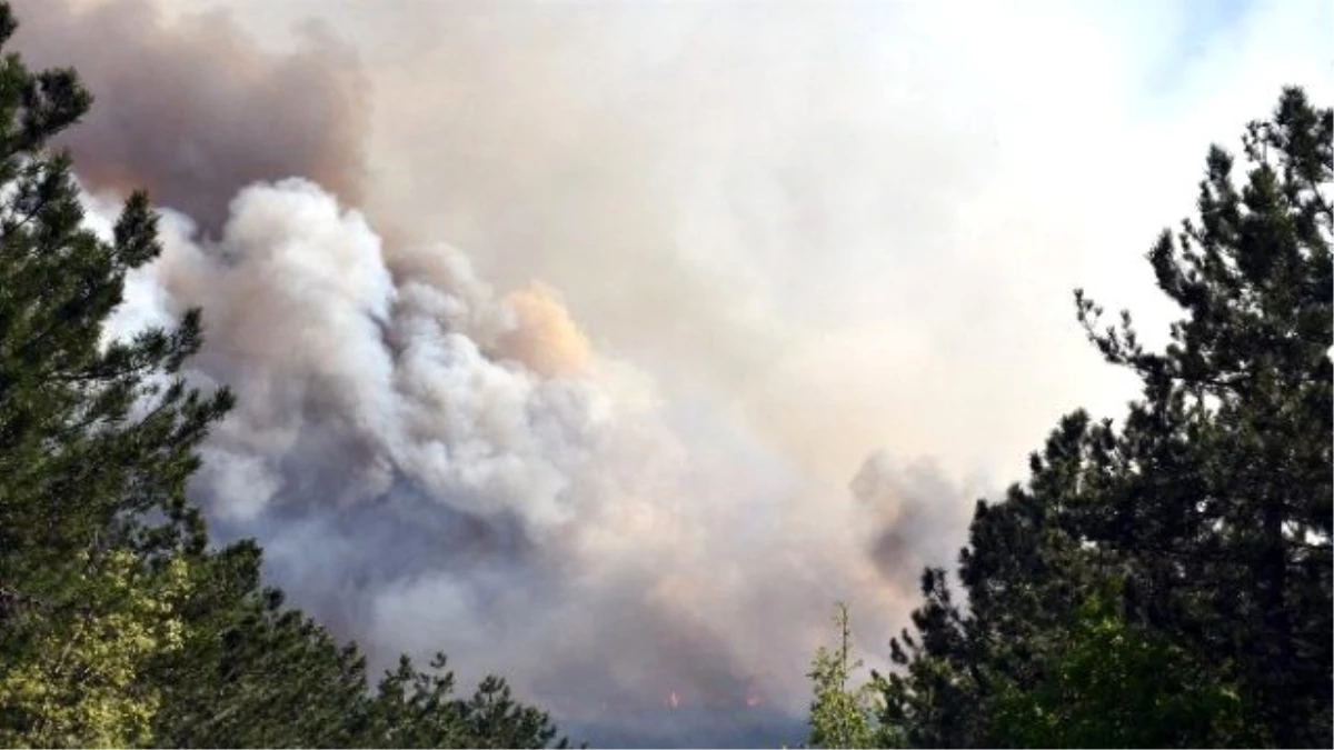 Dursunbey\'deki Orman Yangını Kontrol Altına Alındı