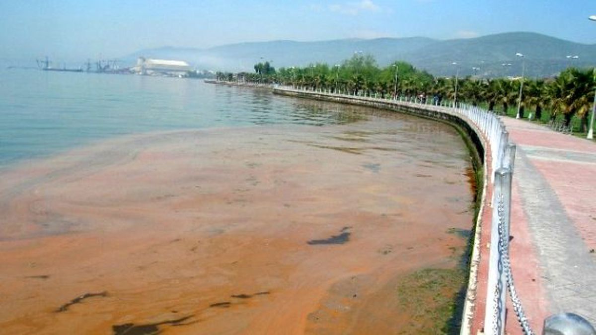 Körfez\'deki Sarı Tabakanın Sebebi Mevsimsel Değişiklik