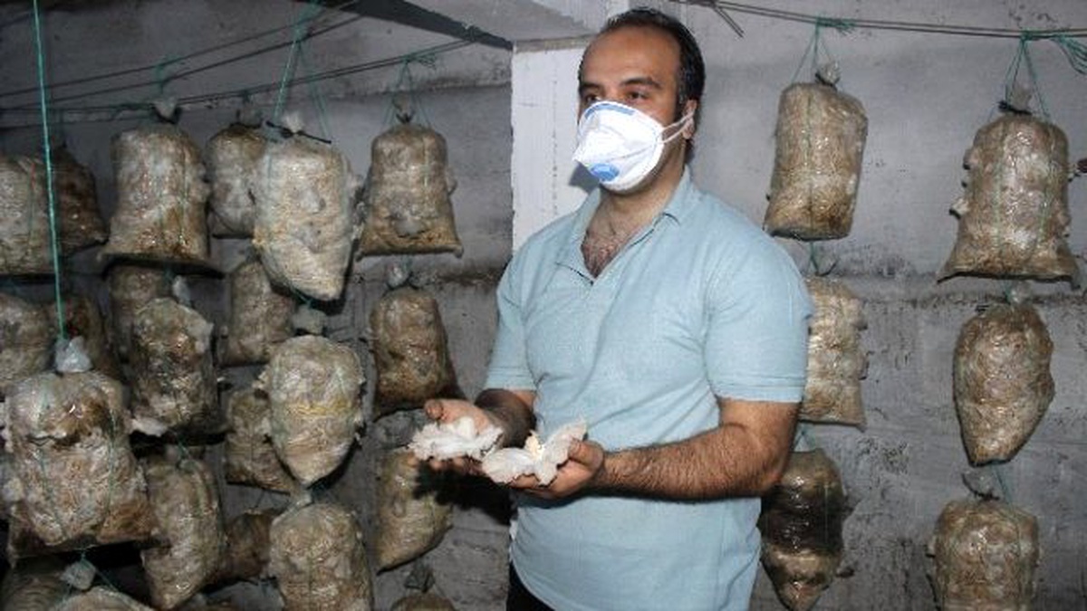 Restoranda Tattığı Mantarla Hayatı Değişti