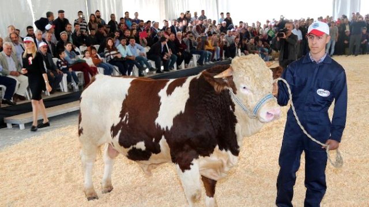 Burdur Tarım ve Hayvancılıkta Zirveye Oynayacak
