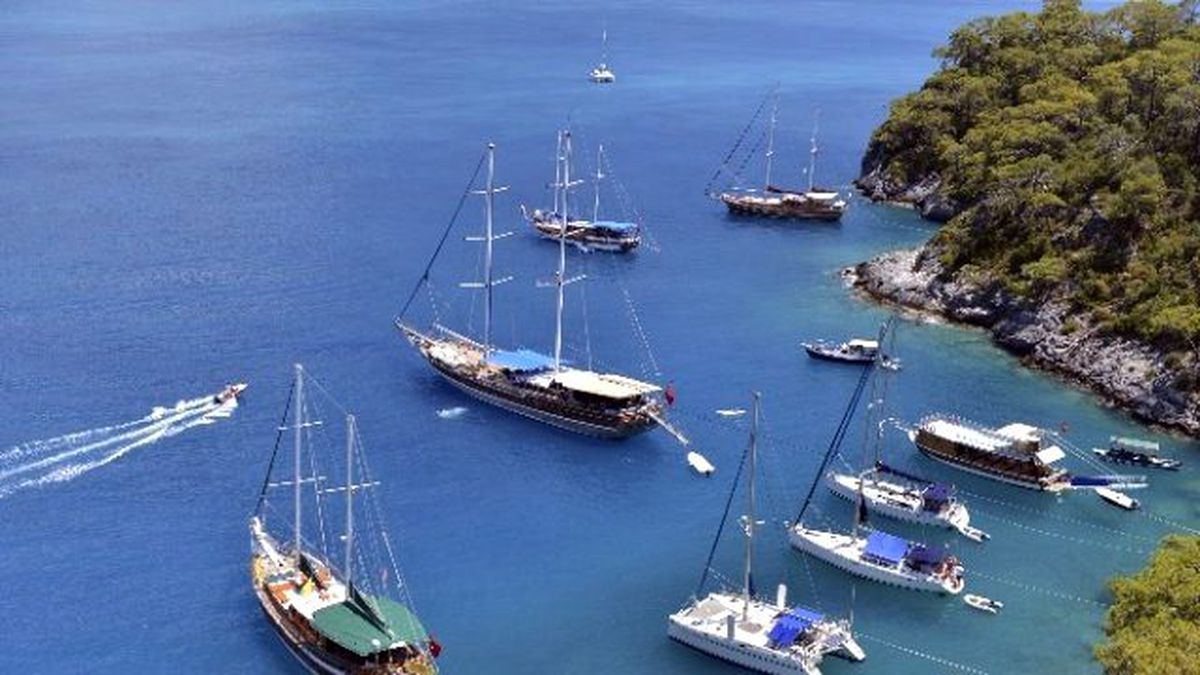 Deniz Tutkunlarını Buluşturan Site
