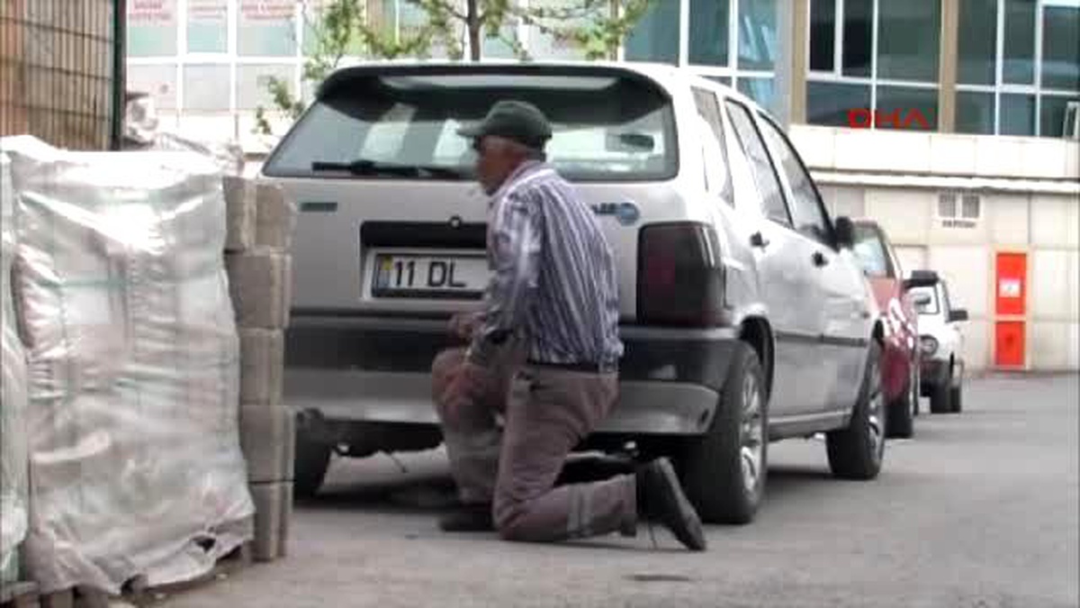 Kayseri\'de Anne Kediyi Yavruları ile Buluşturma Operasyonu