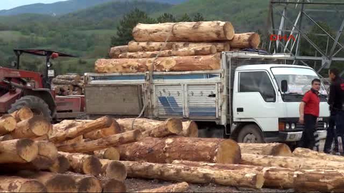 Bolu Tomruğun Altında Kalan Kamyon Şoförü Yaralandı