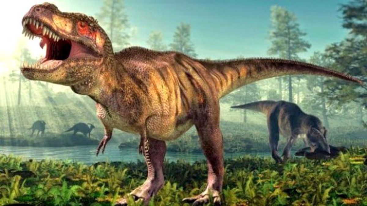 Kuşlar Dinozorlar Gibi Yok Olmaktan Nasıl Kurtuldu?