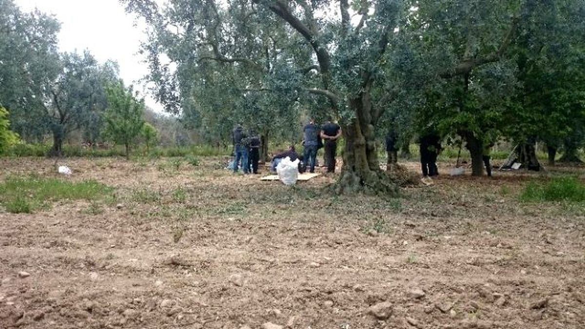 Bursa'da Tarlada Romalılardan Kalma Oda Mezarı Bulundu