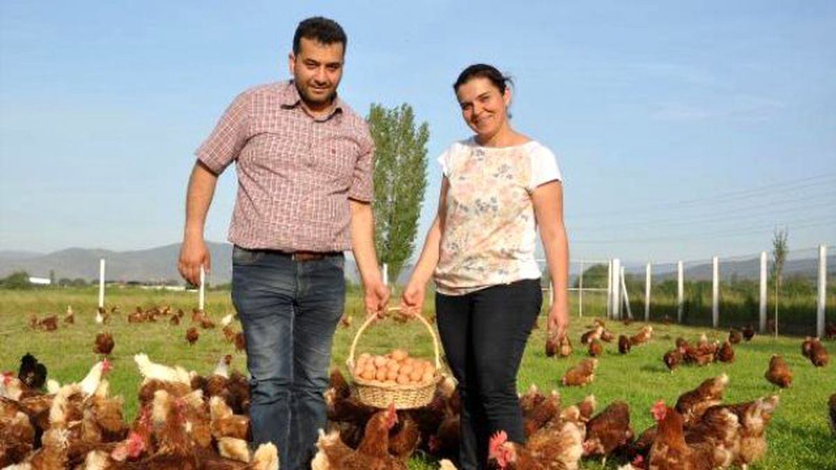 2 Kardeş 3 Tavukla Girdiği İşte Markalaştı