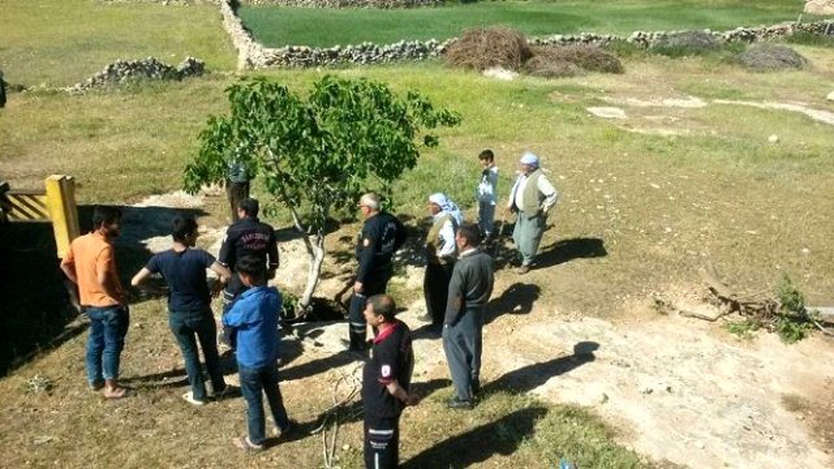 Kuyuya Düşen At Saatler Süren Çalışma Sonucu Çıkartıldı