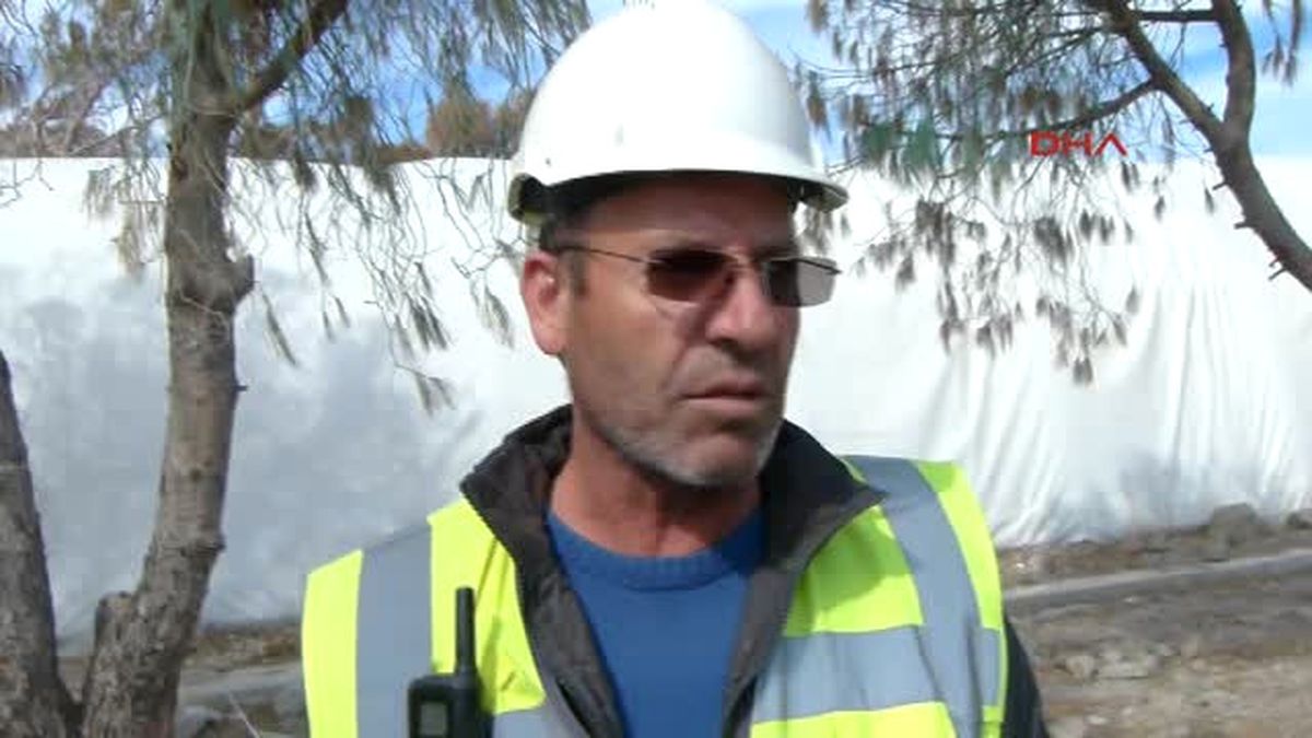 Bodrum\'da Taşındığı Yerde Kuruyunca Yeşile Boyanan O Ağaçlar Söküldü