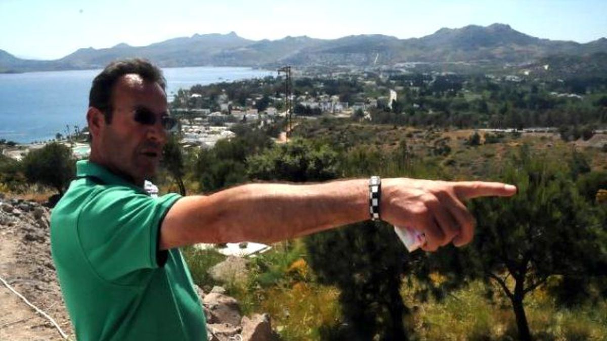 Bodrum\'da Taşındığı Yerde Kuruyunca Yeşile Boyanan O Ağaçlar Söküldü