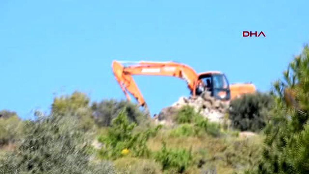 Bodrum'da Boyanarak Yeşillendirilmeye Çalışılan Ağaçlar Söküldü