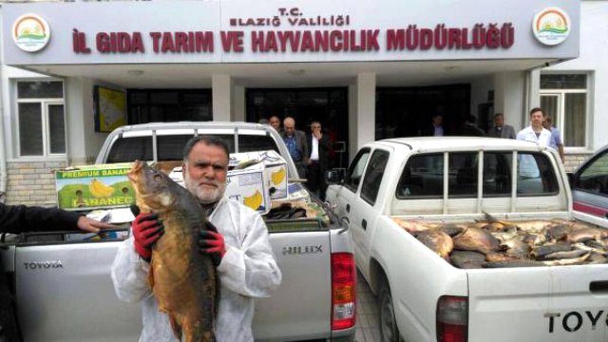 Elazığ\'da Kaçak Avlanan 6 Ton Balık Ele Geçirildi