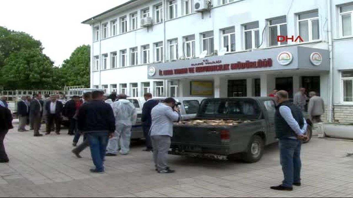 Elazığ\'da Kaçak Avlanan 6 Ton Balık Ele Geçirildi