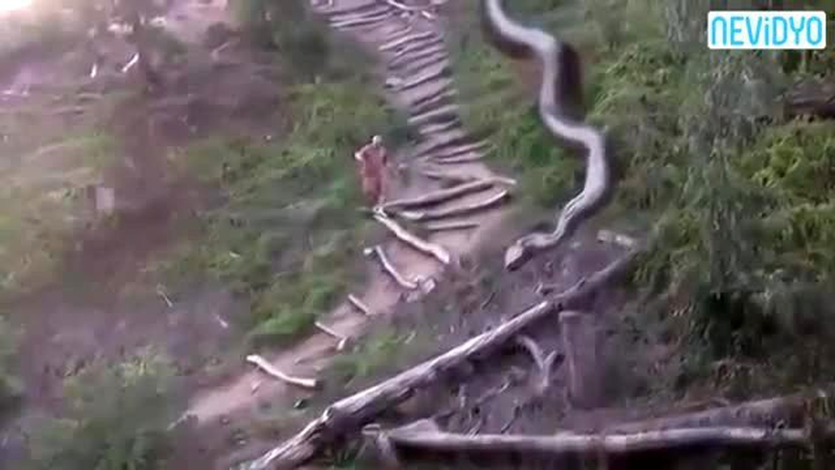 Sosyal Medya İkiye Bölündü