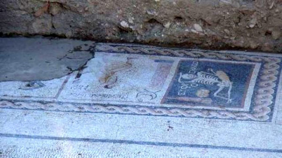 Ünlü Tarihçi Ortaylı: Bu Eser Müze Yapılarak Sergilenmeli