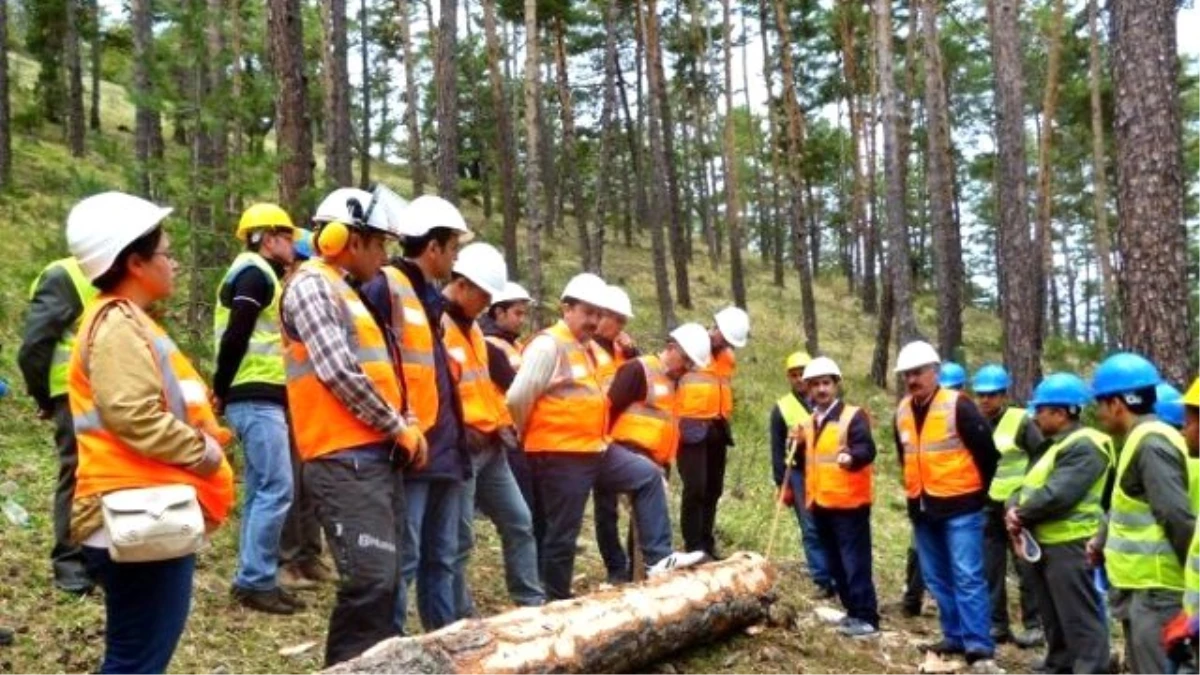 Akdağmadeni Orman İşletme Müdürlüğü\'nde Standardizasyon Eğitimi