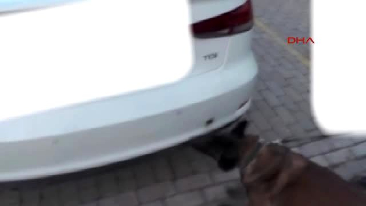 Aydın Otomobilden 12 Kilo 575 Gram Esrar Çıktı