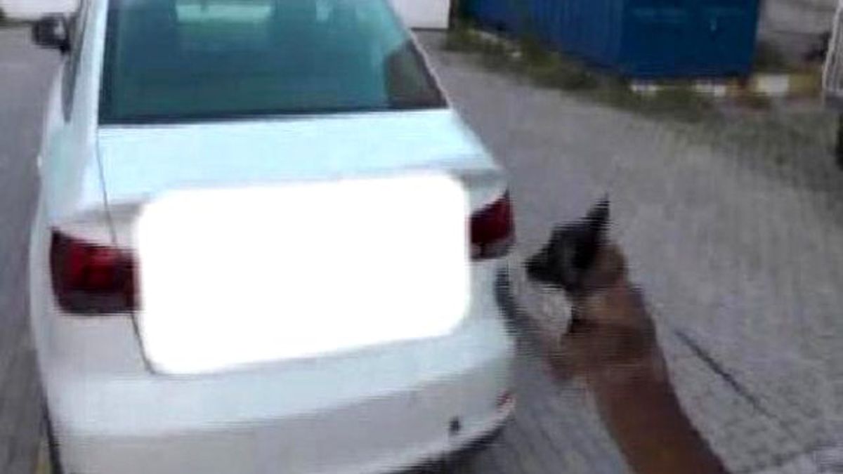 Aydında 12.5 Kilo Esrara 4 Tutuklama